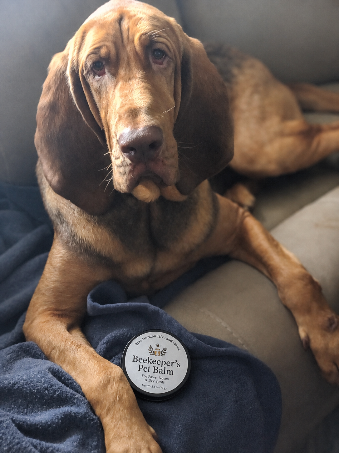 Beekeeper's Pet Balm